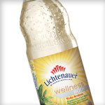 Abbildung Lichtenauer Wellness Body