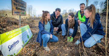 Neue Bäume für den Teuto: Carolinen und KlimaWoche Bielefeld forsten weiter auf 